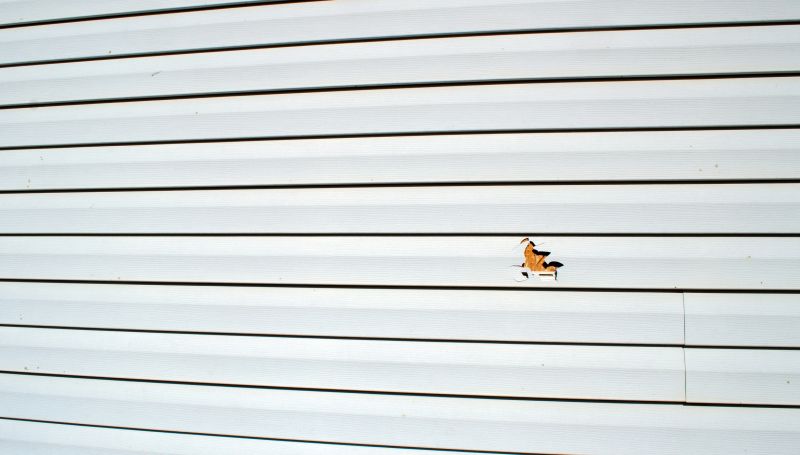 Siding Replacement Project